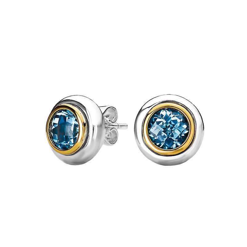 Eleganza Ladies Fashion Two-Tone Earrings 720431Eleganza Ladies Fashion Two-Tone Earrings 720431  Eleganza Ladies Fashion Two-Tone Earrings